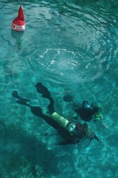 SCUBA Diver Below